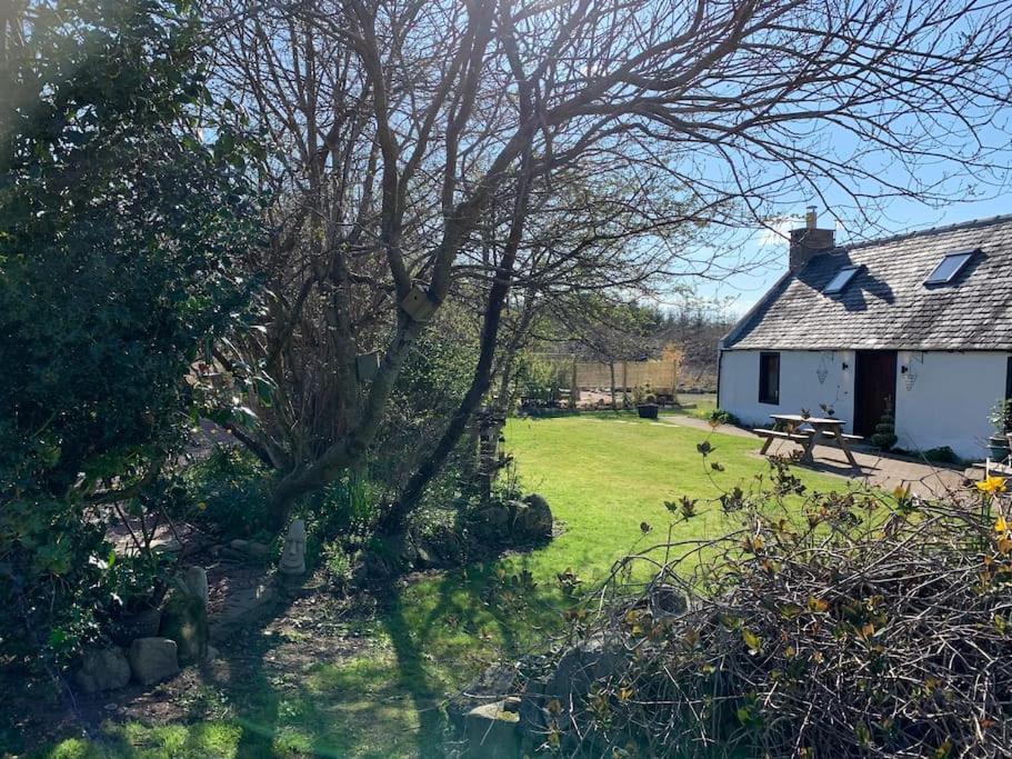 Cosy & Rustic Retreat - Woodland Cottage. Nairn Bagian luar foto